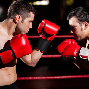 Dados históricos e feed de cotações em tempo real de boxe